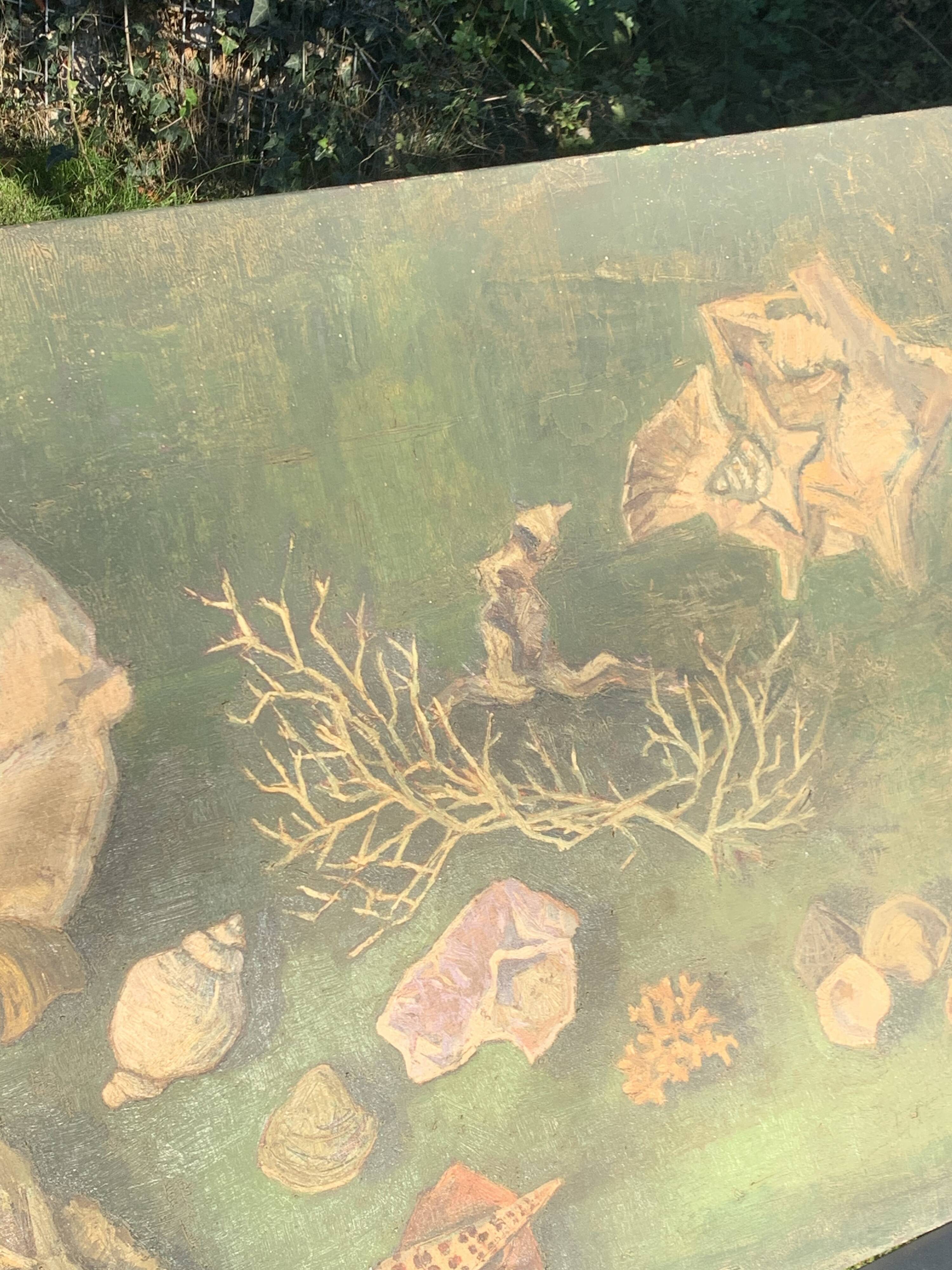 Large painting of shells, cabinet of curiosities, sign, vintage