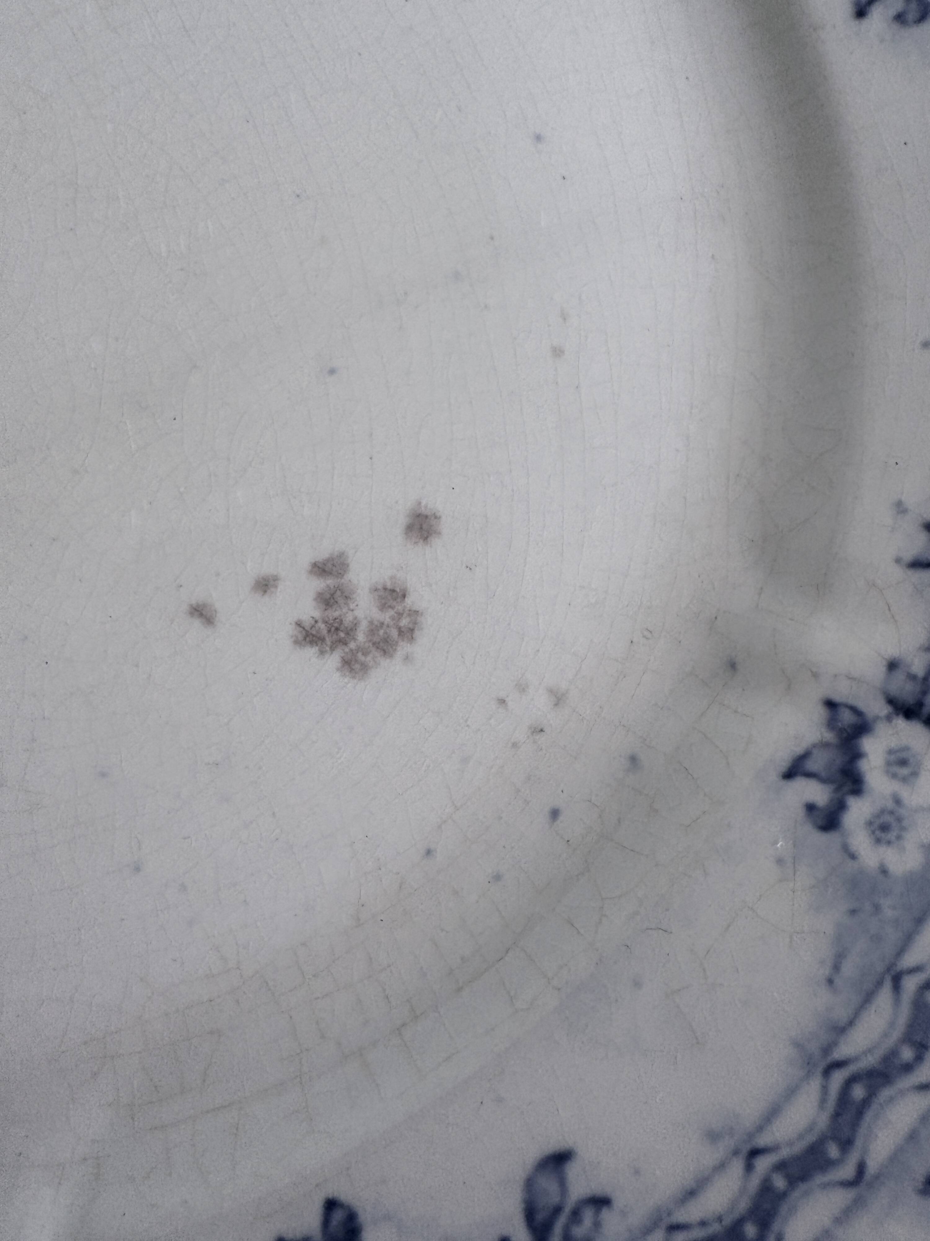 4 antique plates by Franz Anton Mehlem "Anita", antique porcelain