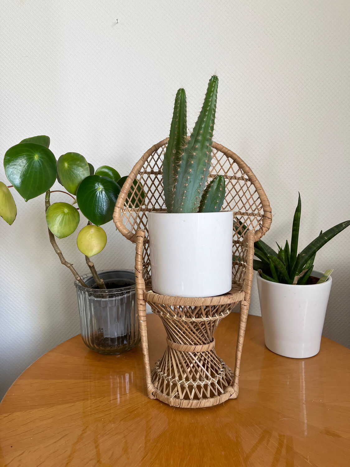 Emmanuelle vintage rattan plant holder