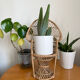 Emmanuelle vintage rattan plant holder
