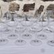 Set de 10 verres à vin rouge
