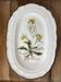 Earthenware dish with botanical decoration "Diplotaxis muralis", Haute Provence