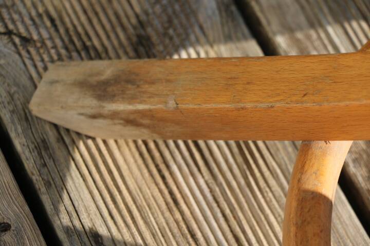 Baumann parrot coat rack simple clear