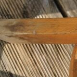 Baumann parrot coat rack simple clear