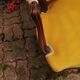 Pair of Chairs PERIOD NIII