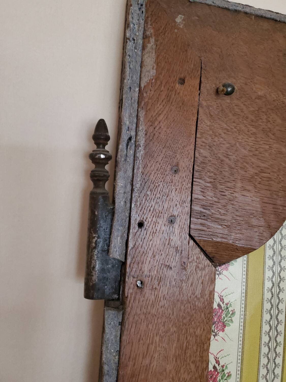 Pair of 19th century oak doors