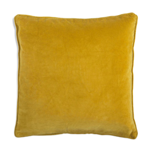 coussin en velours 50x50cm