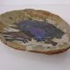 Danish stoneware bowl by Conny Walther, 1960s
