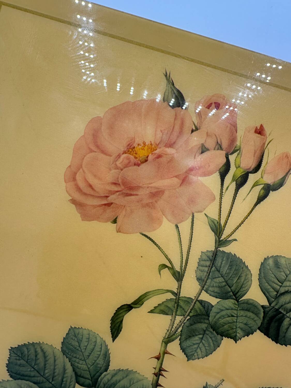 Vintage pink lithograph