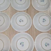 Lot 9 Deep Plates Porcelain Japan ARA S 933 Parrot & F Decor