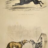 Original zoological plate of 1839 " shepherd dog, mastiff,....