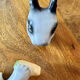 Vintage Rabbit Teapot HJ Wood England