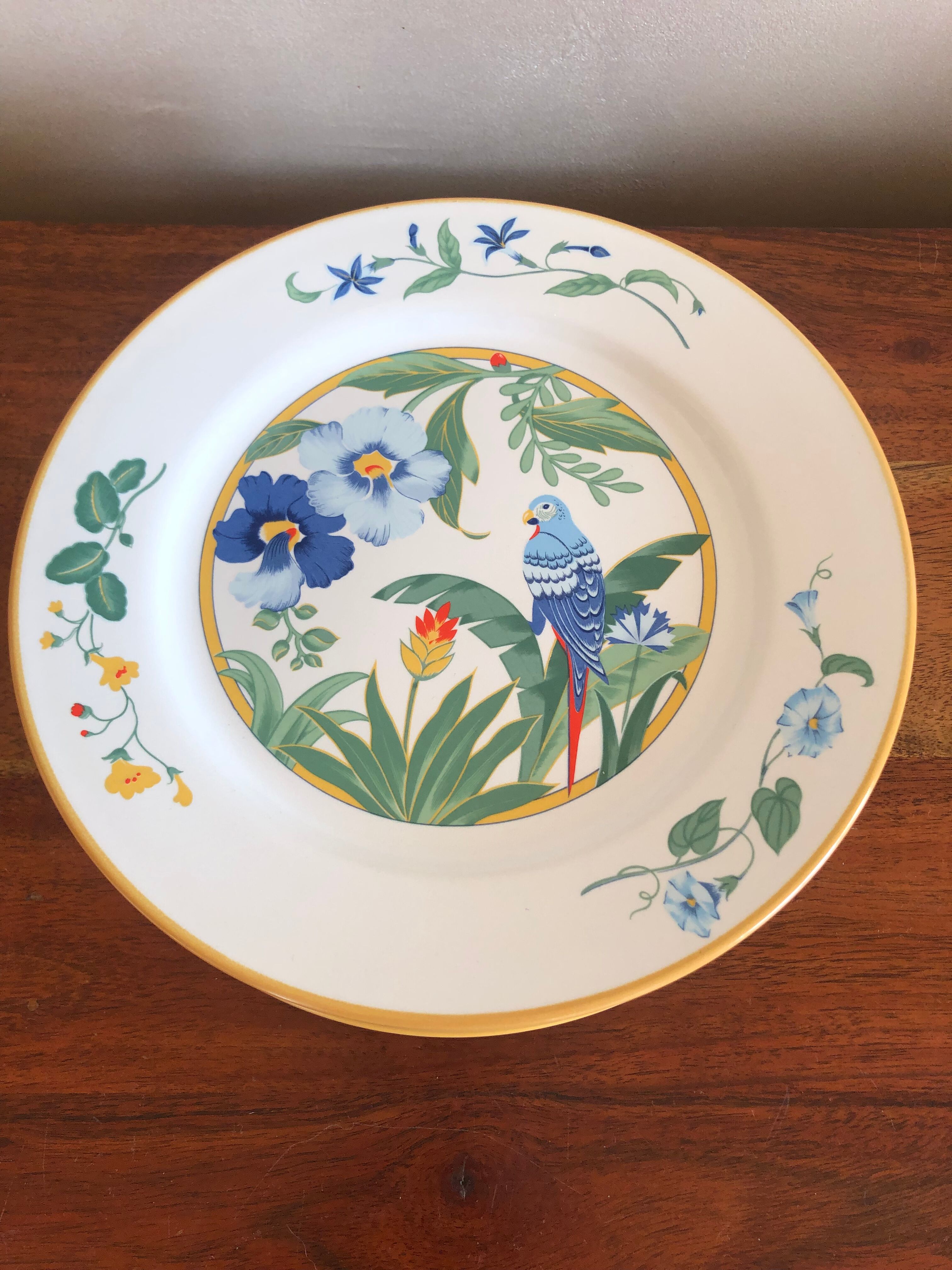 6 plates Pier Import décor ARA Parrot