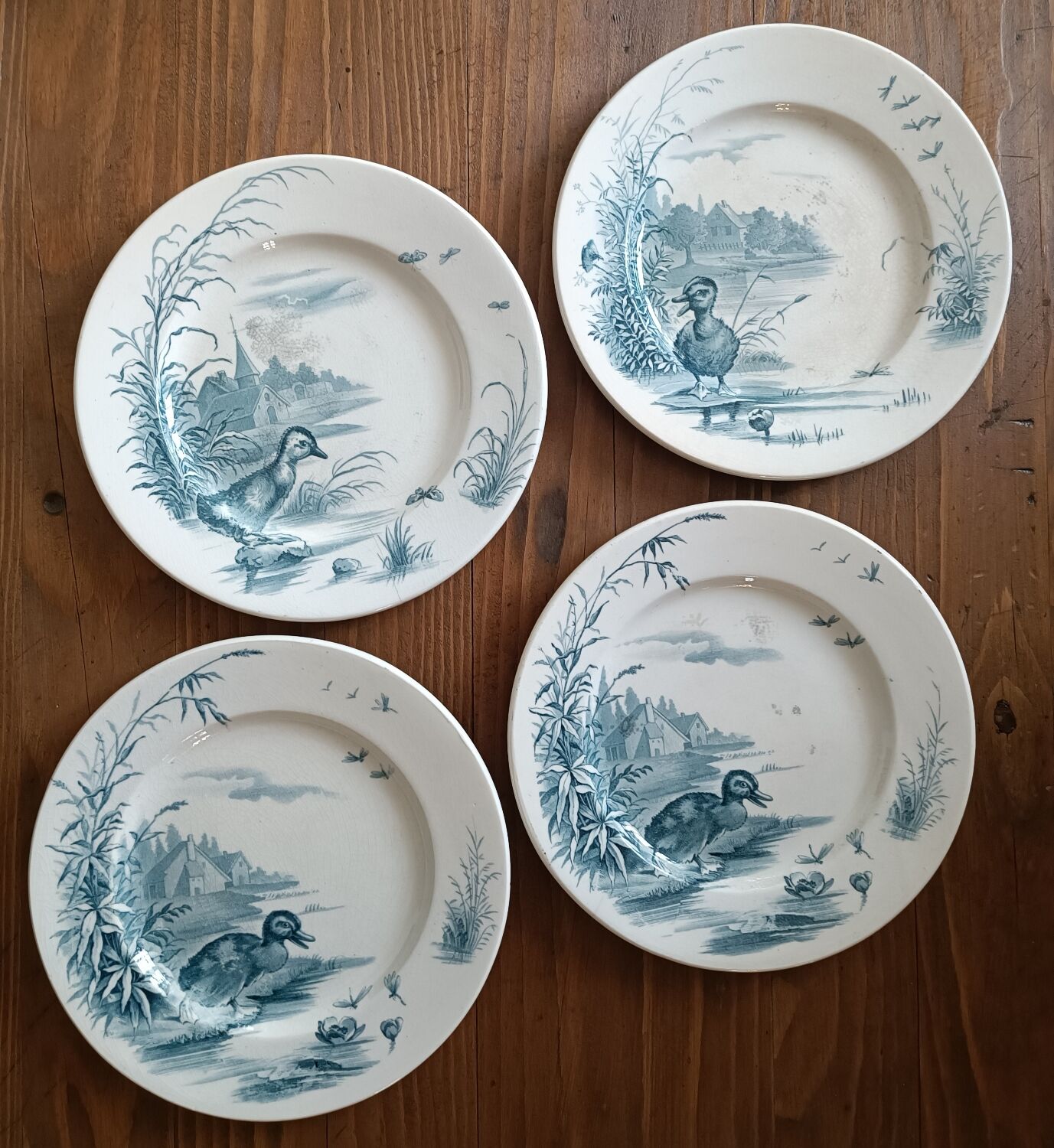 4 plates iron earth Gien model Ducks