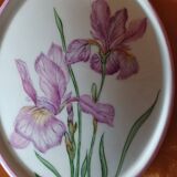 Médaillon Porcelaine Peint Main Fleur Iris.