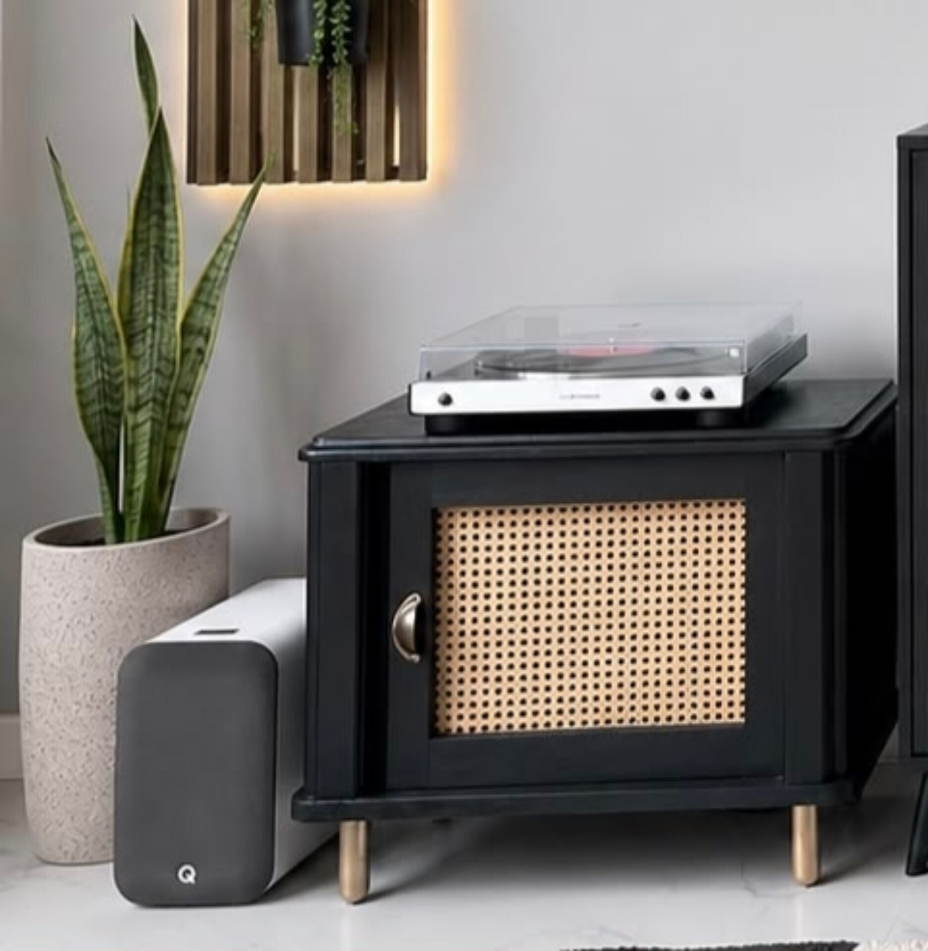 Meuble vinyle en bois