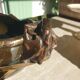 Ceramic planter