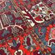 Bakhtiar carpet 230cm x 310cm
