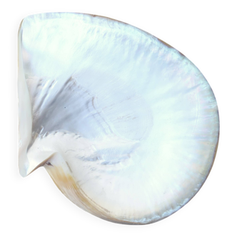 Natural pearl oyster mother-of-pearl pocket emptier, 1970s