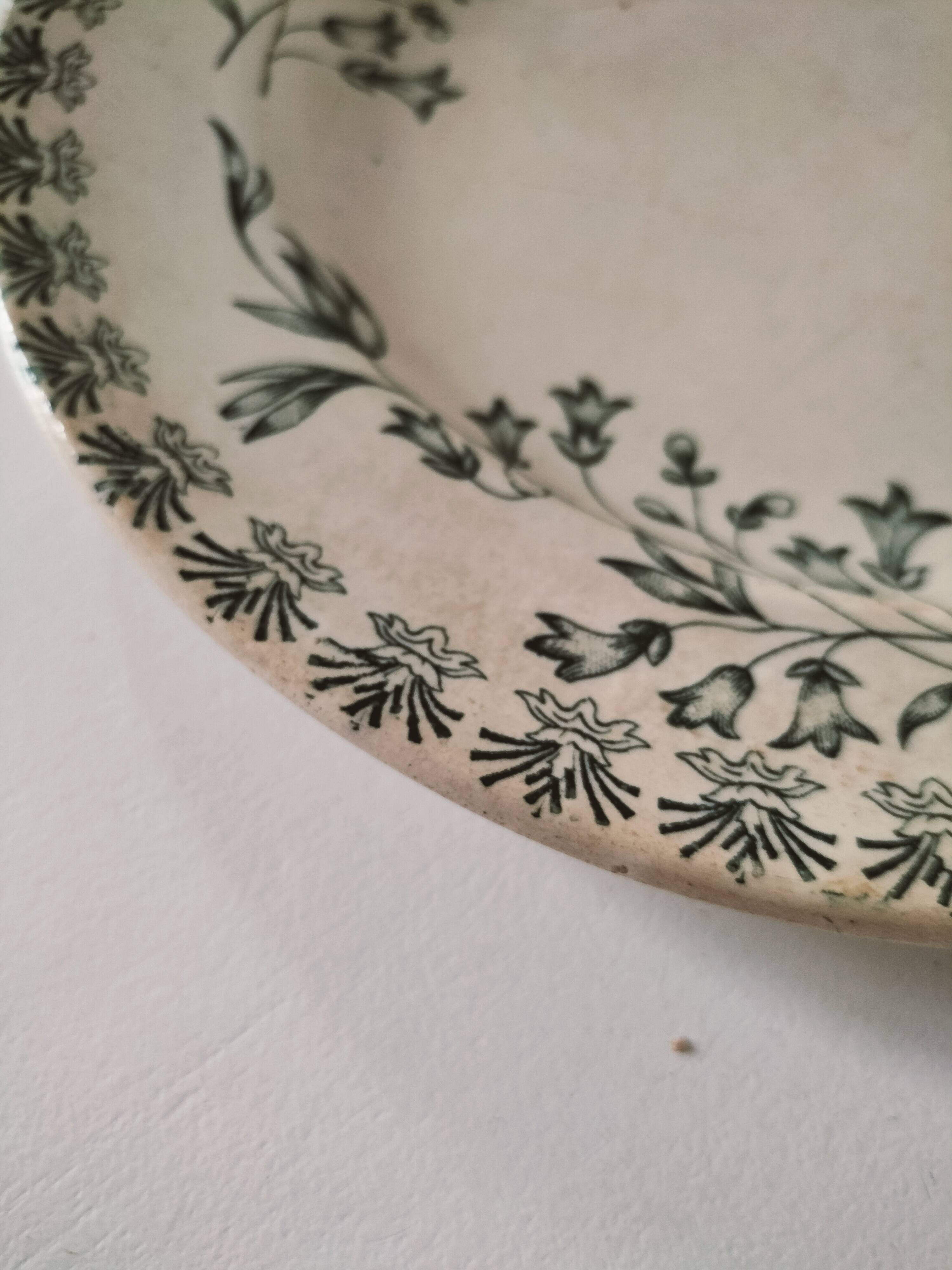Antique ironstone plate with green floral decoration, circa 1900