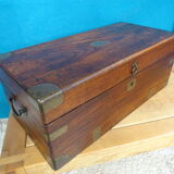 Old marine trunk in camphor tree