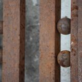 Metal and bronze ironwork entrance door Charles Piguet Lyon 1919