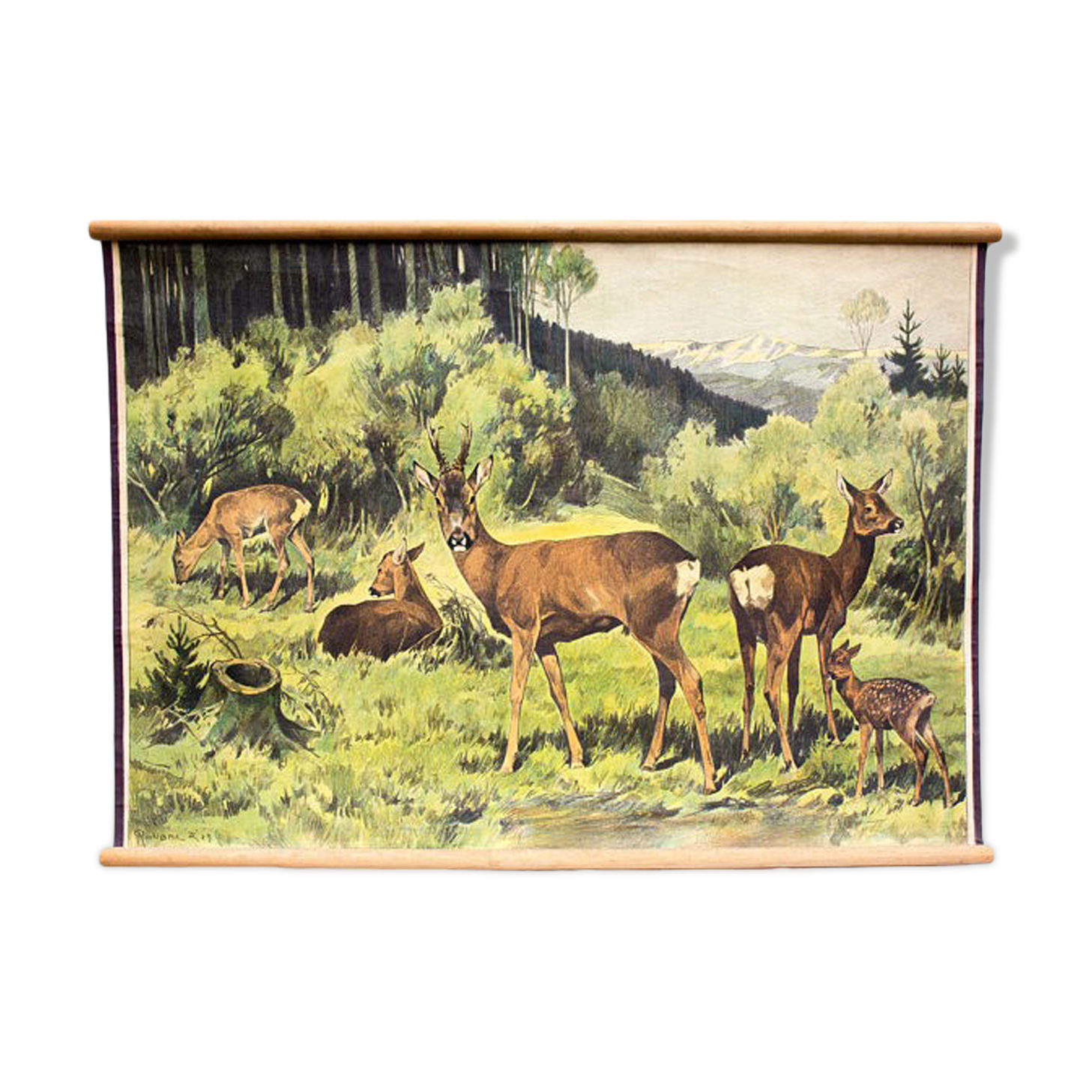 Poster "Deer" educational rack Franz Roubal 1925