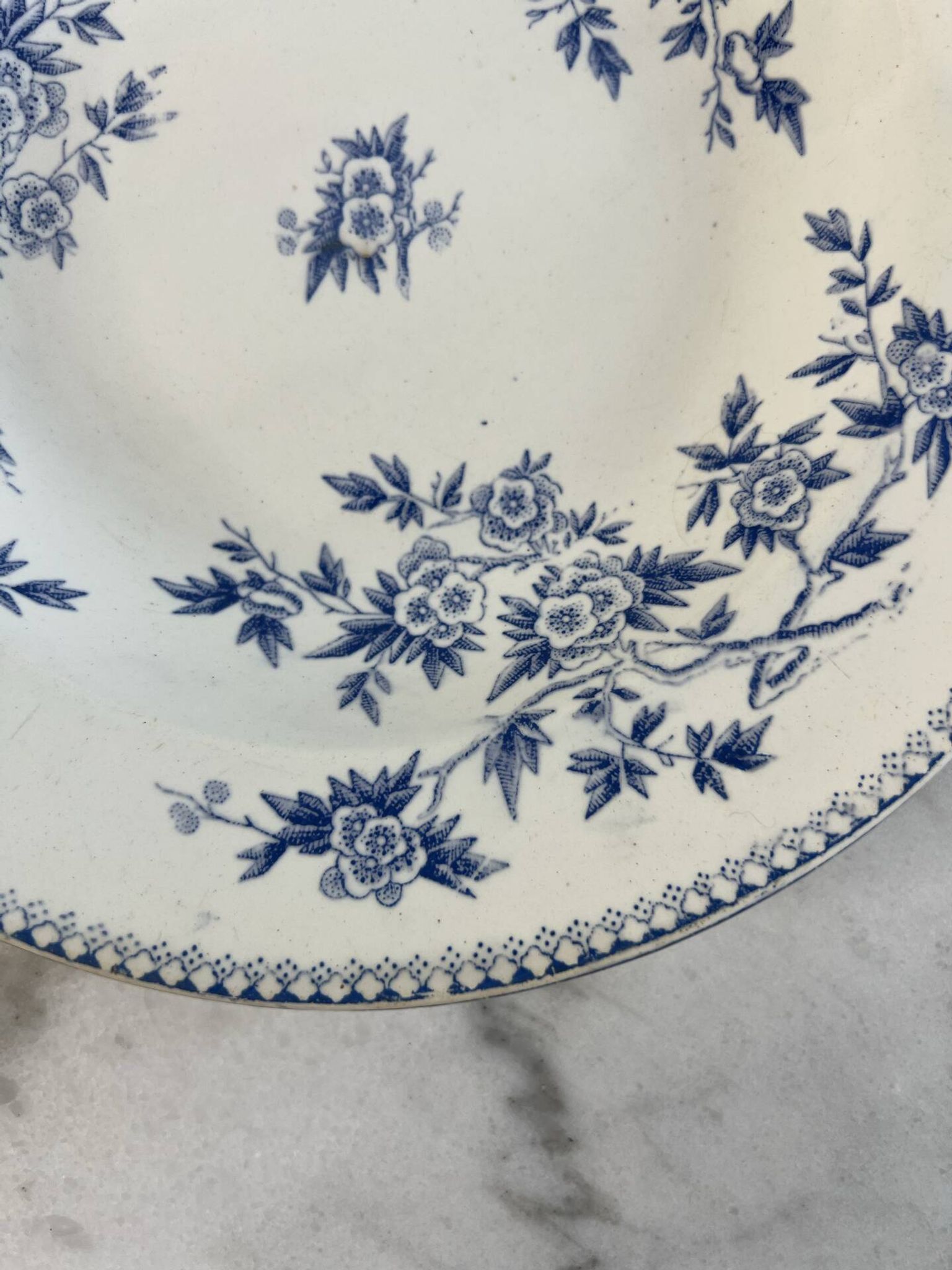 Hollow plate in ironstone from Terre de Feu of Grigny with floral decoration bl