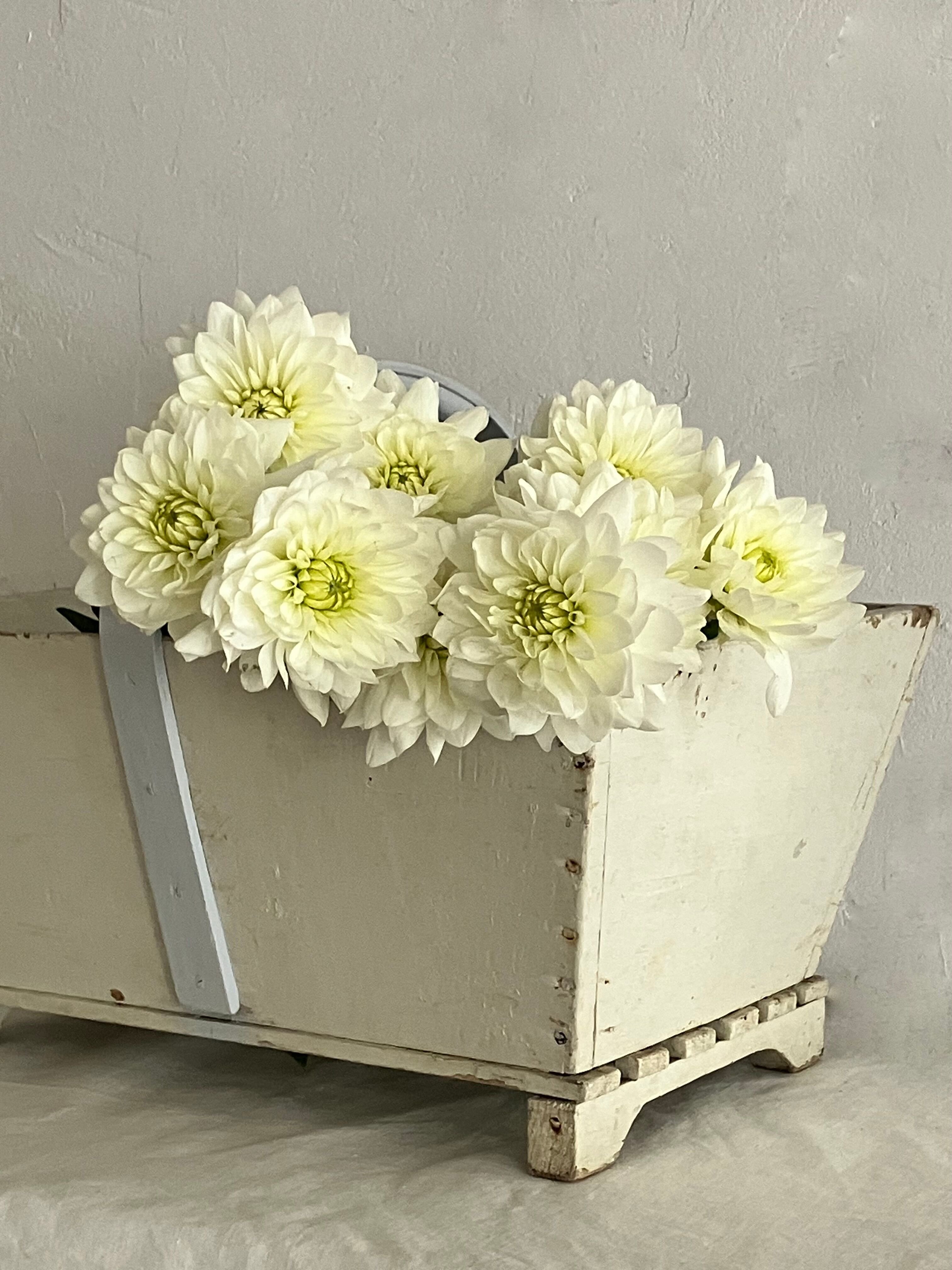 Panier de jardinier