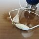 Lamp editions Disderot chrome metal and 70s lase metal