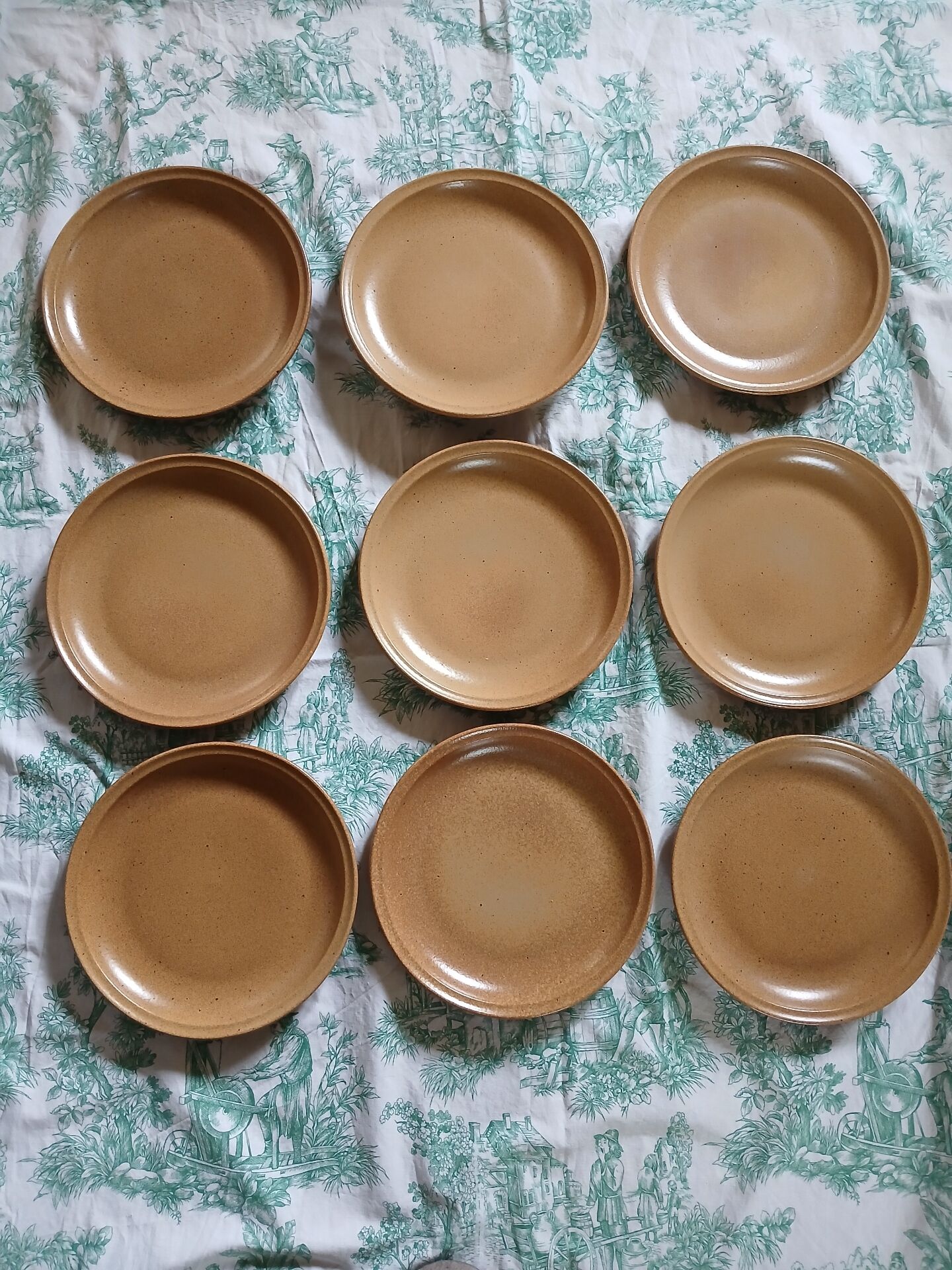 9 flat plates in Sarreguemines stoneware