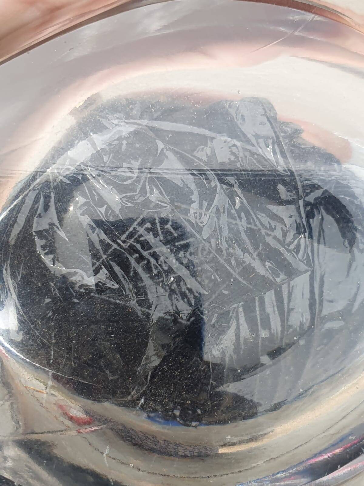 empty pocket rabbit crystal d valves