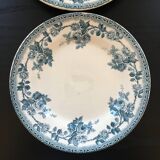 Pair of Terre de Fer plates