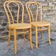 ZPM chairs from the 50s and 60s, Michael Thonet design, early 20th century