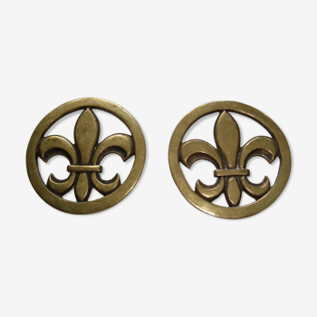 Paire dessous de bouteilles fleurs de lys en bronze doré