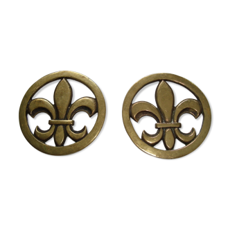 Pair of Golden Bronze Fleurs-de-Lis Bottles