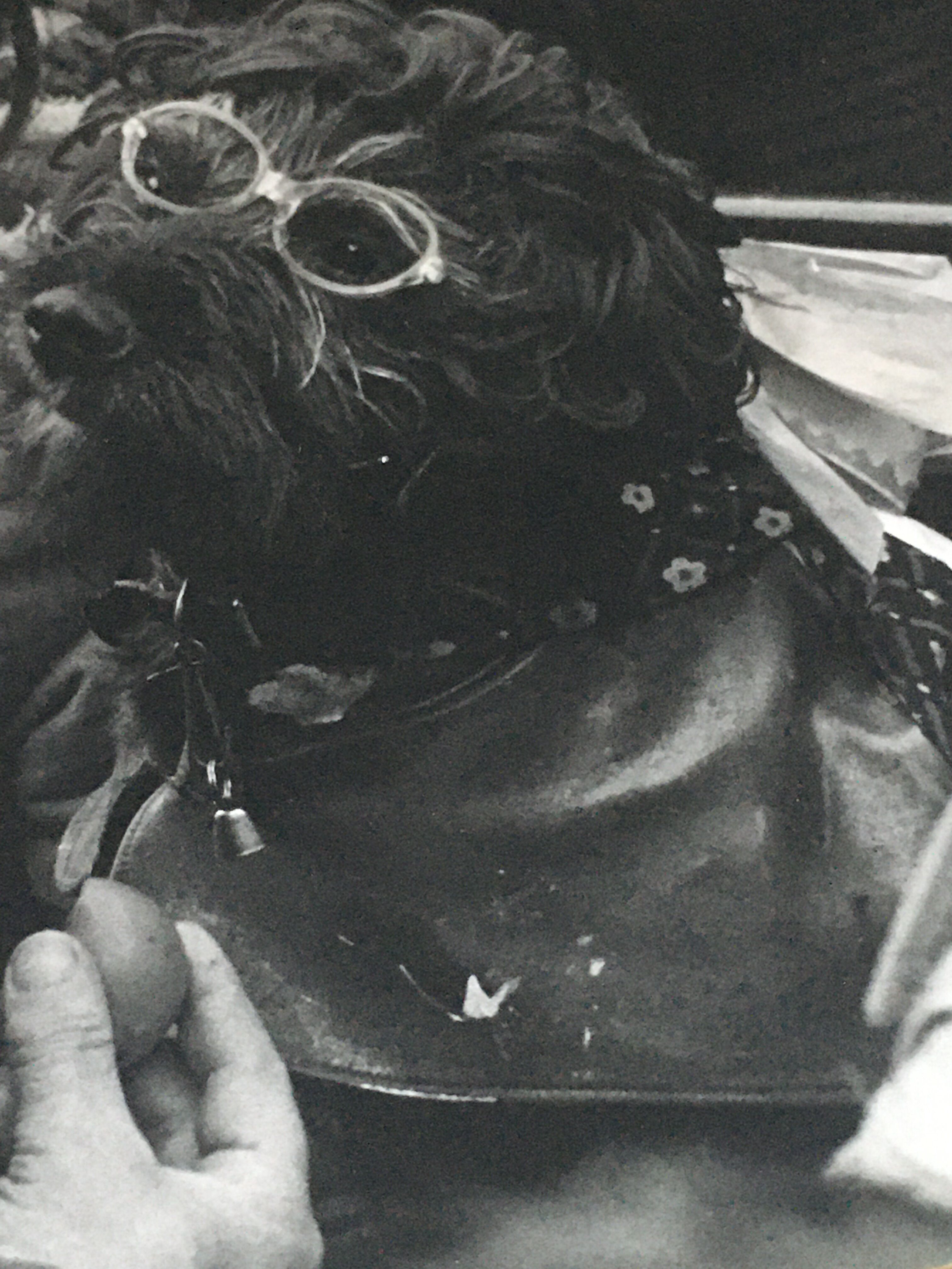 Tirage d’époque années 70. Chien Londres Angleterre