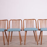 Chaises de salle à manger par Antonin Suman pour Ton, 1960s, Set de 4