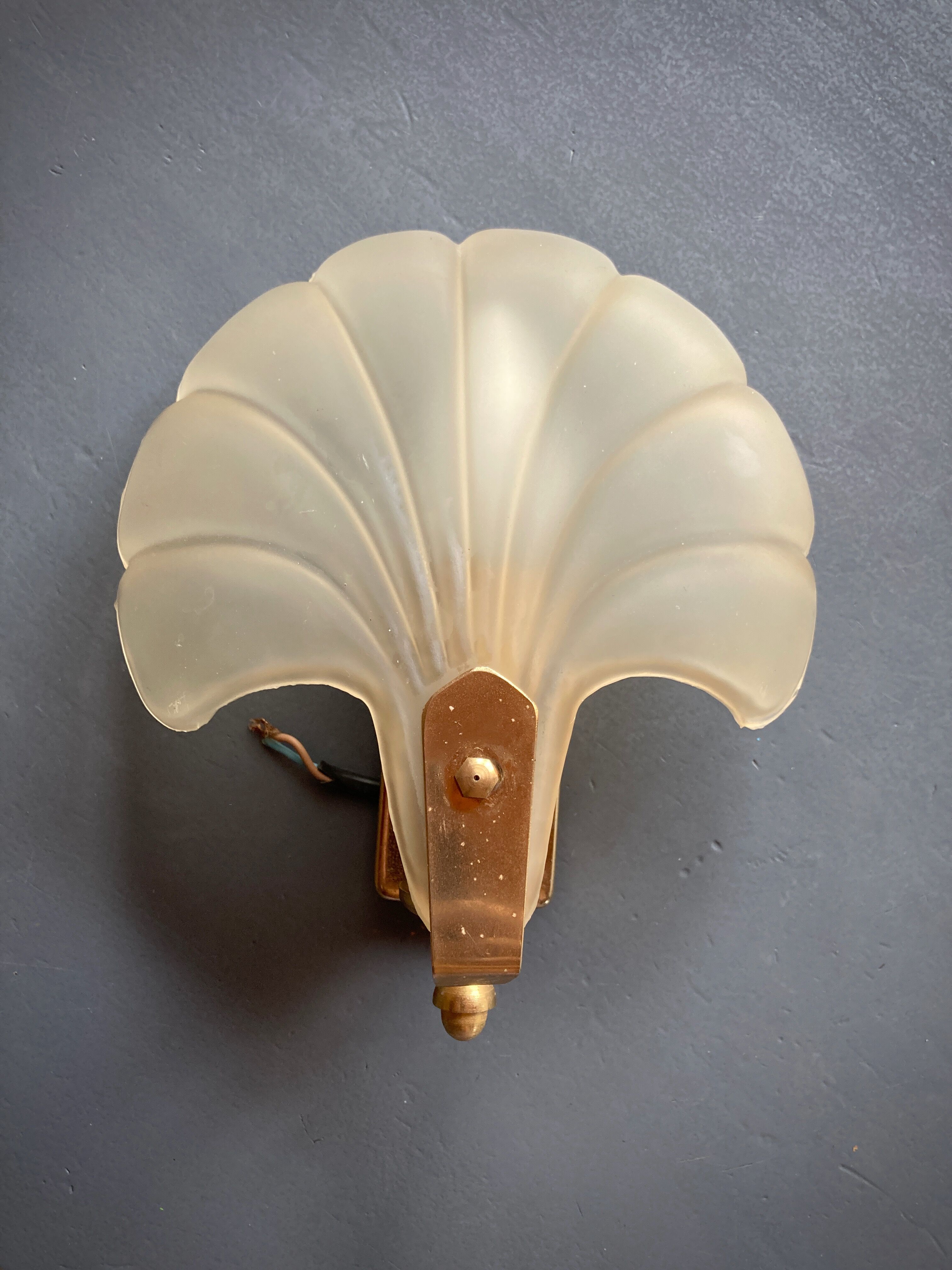 Frosted glass shell wall lamps