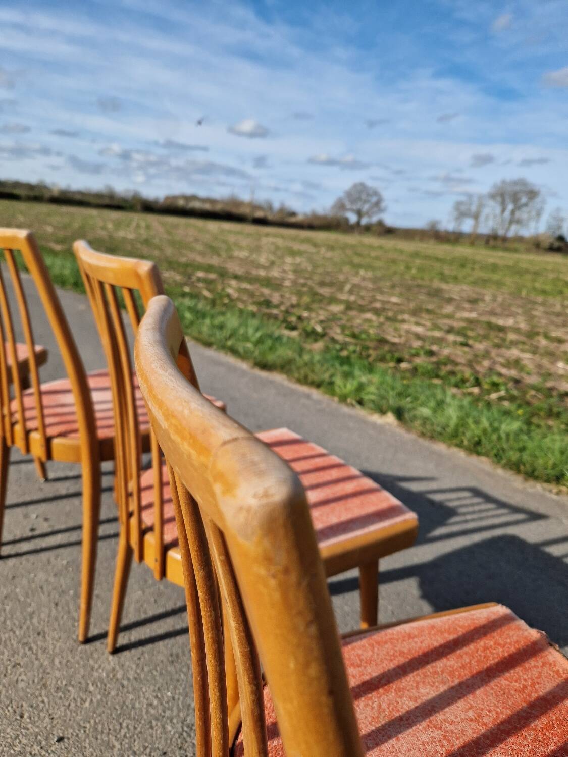 Lot de 4 chaises d'Antoine Suman