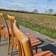 Lot de 4 chaises d'Antoine Suman