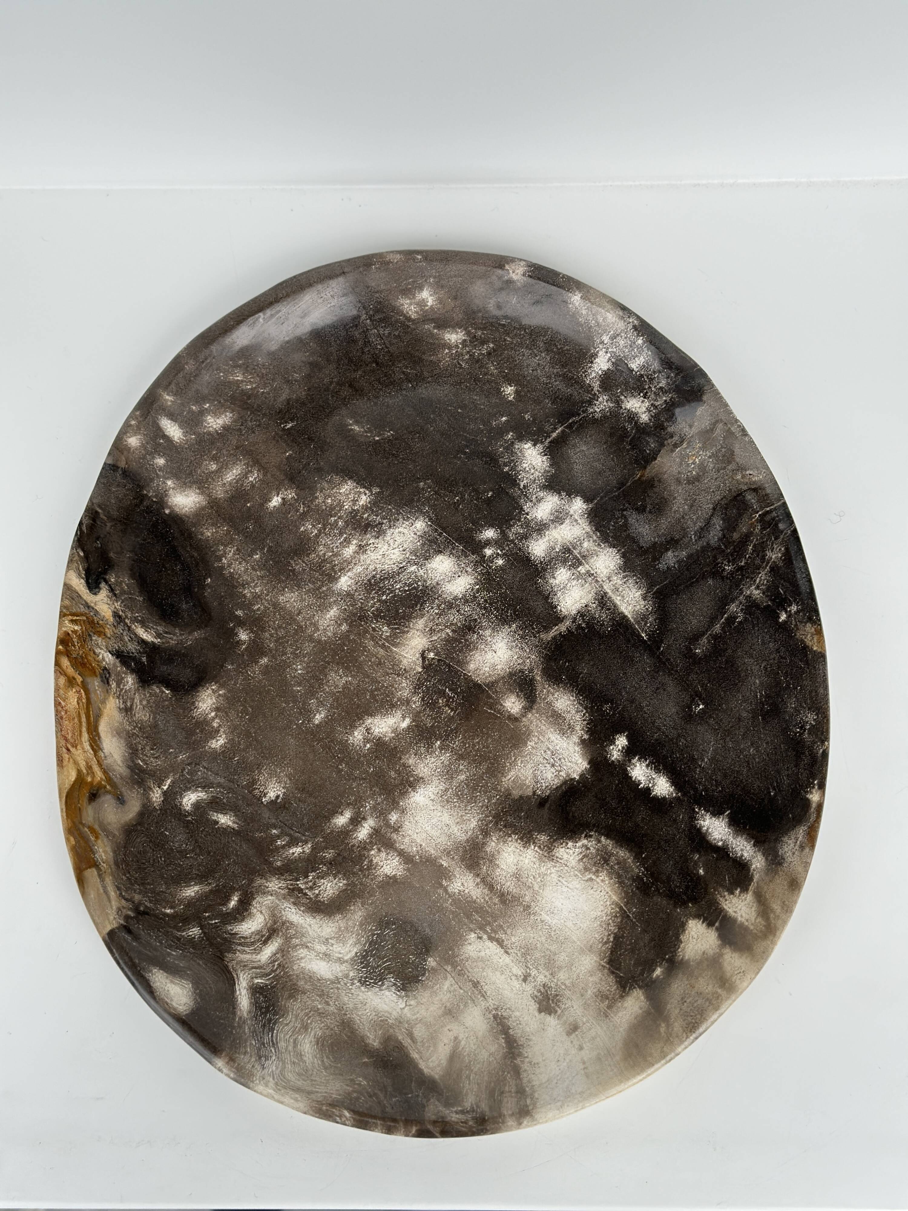 Medium petrified wood dish or pocket emptier, predominantly gray 1137