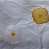 Pair of crystal flower bowls, Daum