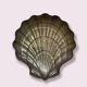 Golden Shell Brass Cup