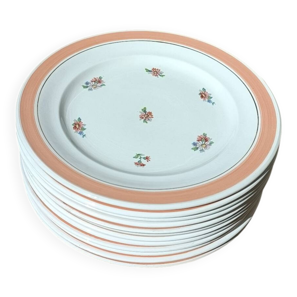 Ensemble de 12 assiettes à dessert fleuries