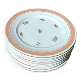 Ensemble de 12 assiettes à dessert fleuries