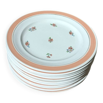 Ensemble de 12 assiettes à dessert fleuries