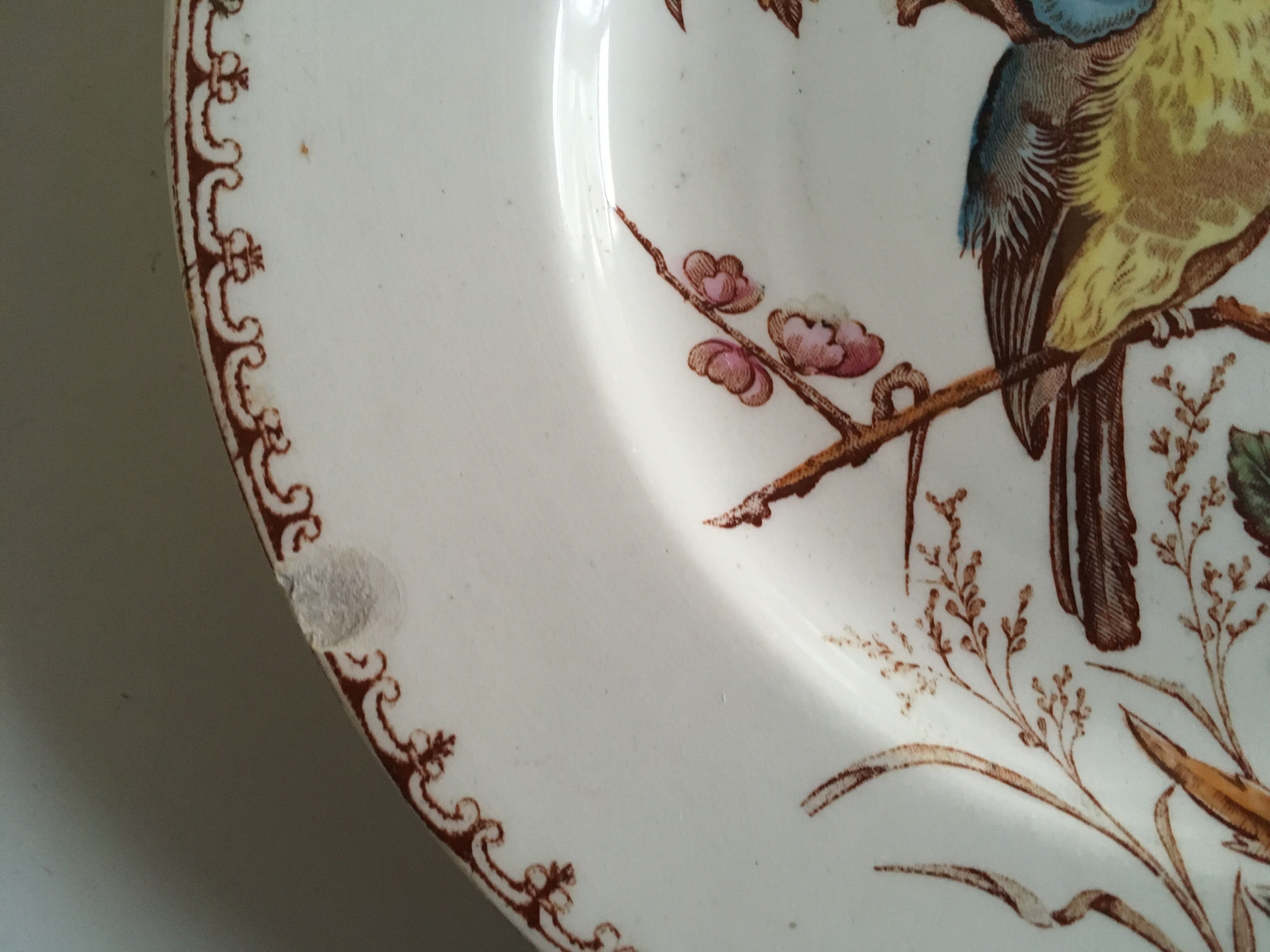 Pair of bird plates in iron earth Lunéville chickadee