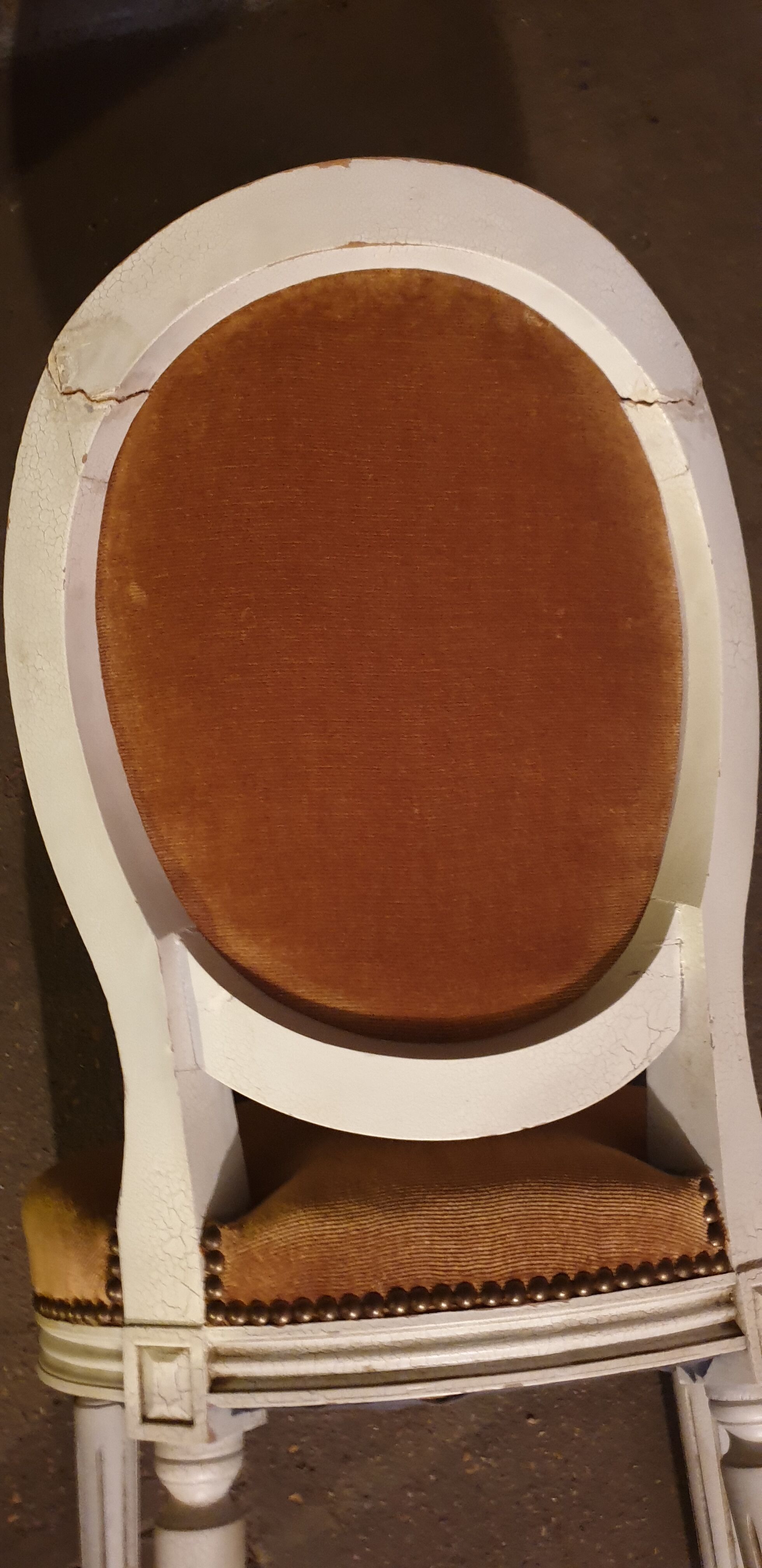 Chairs medallion Louis Louis XVI