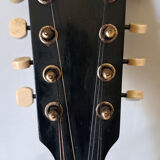 Levin high-end antique mandolin with flat bottom